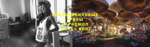 индика Бугульма