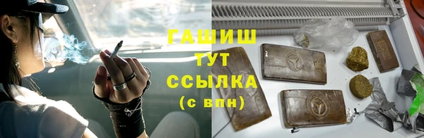 индика Бугульма