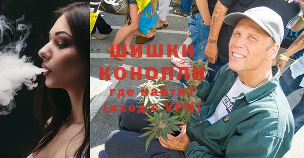 индика Бугульма