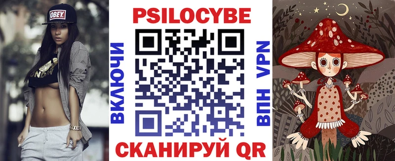 Купить где Мещовск Псилоцибиновые грибы Magic Shrooms