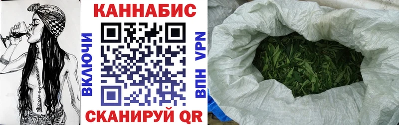 Купить где  Мещовск  Канабис сатива 
